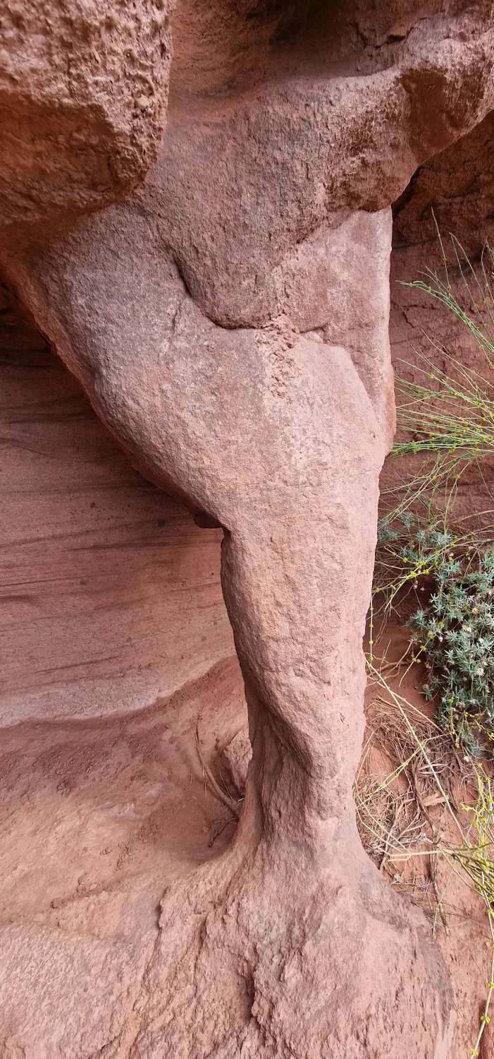 Torroja Landschaften von Cal Viola