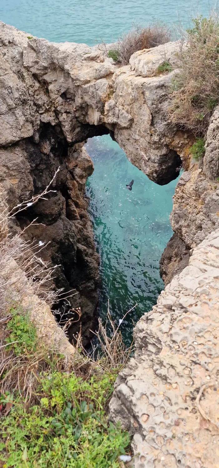 Torroja Landschaften von Cal Viola