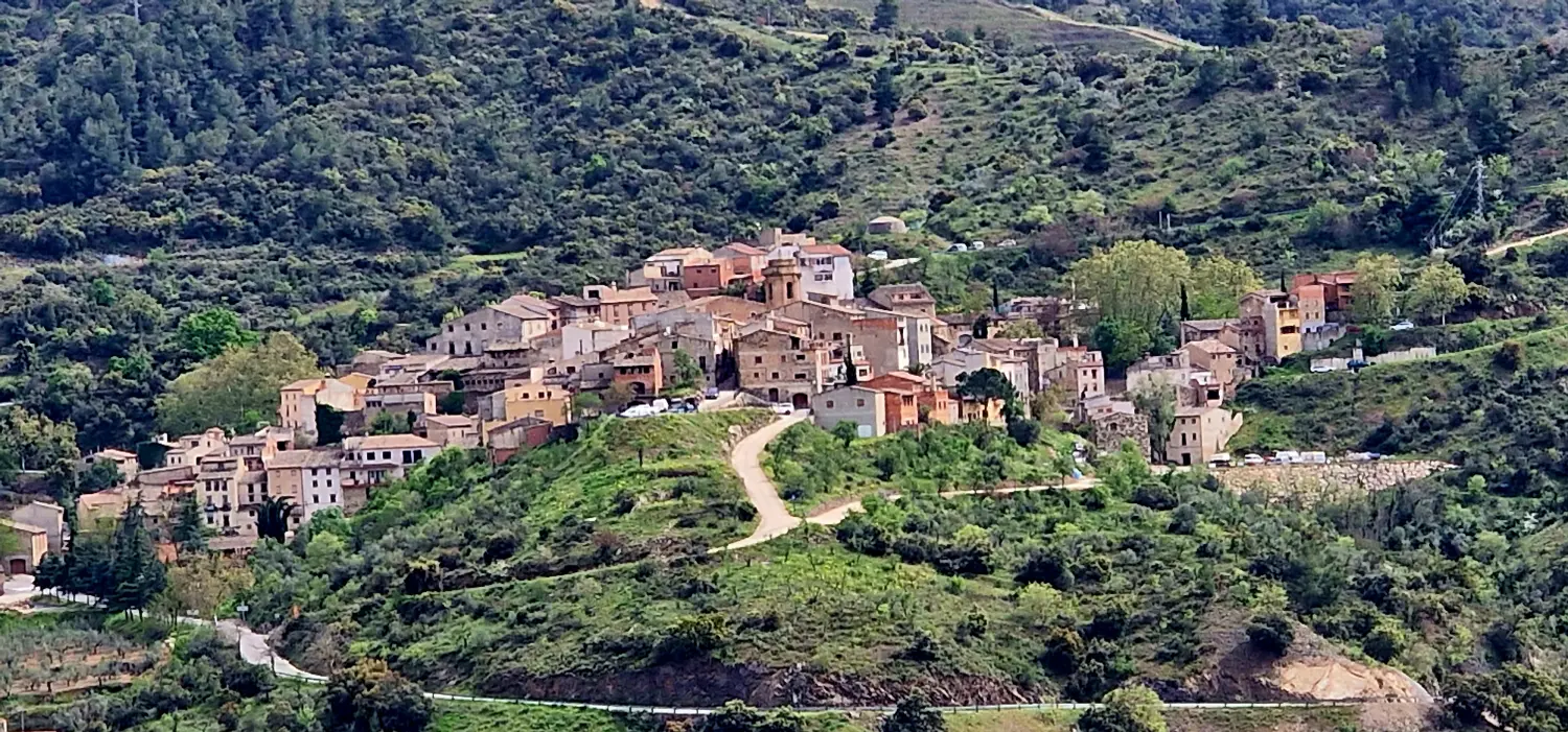 Cal Viola - Montserrat Falgueras Alabart