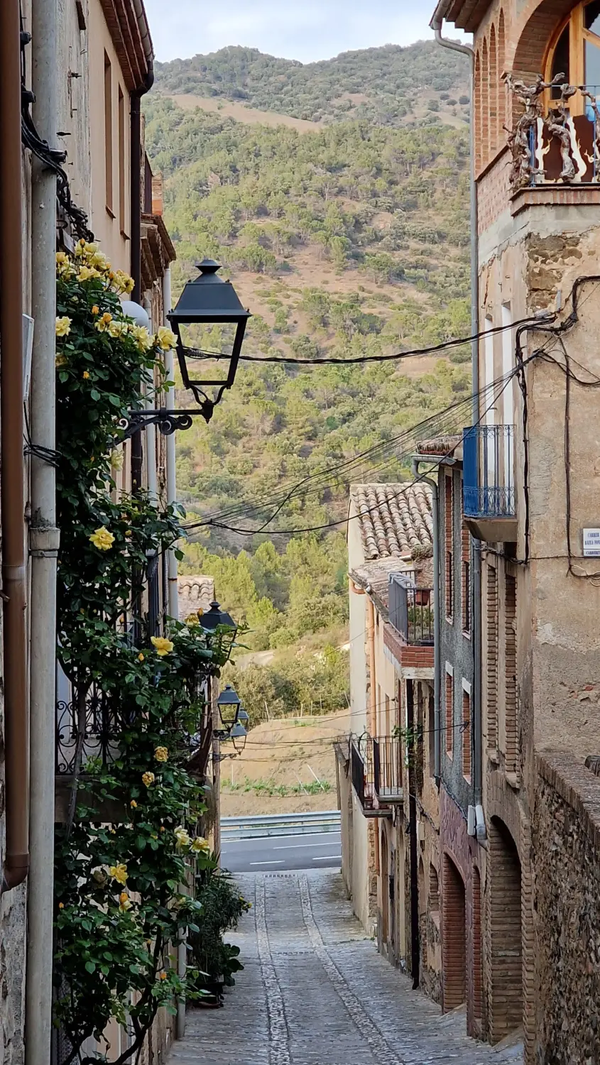 Torroja-Straße von Cal Viola