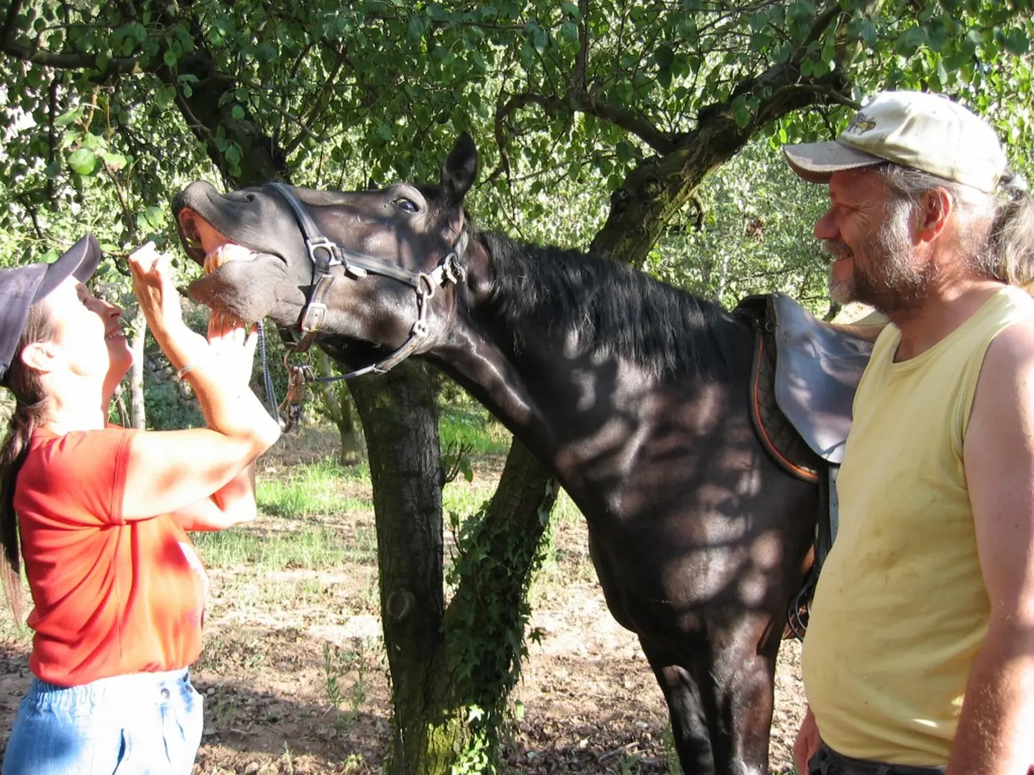 Torroja del Priorat